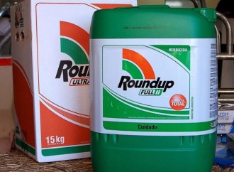 GdC lamenta la poca conscienciació pel medi ambient i la salut pública que mostra el nou govern