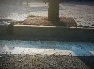 Pla integral de voreres