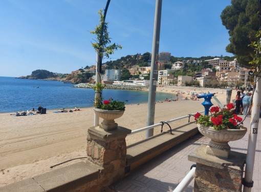 Volem que les platges del municipi siguin espais lliures de fum