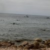 Denunciem el fondeig il·legal d’embarcacions d’esbarjo a Cala Vigatà