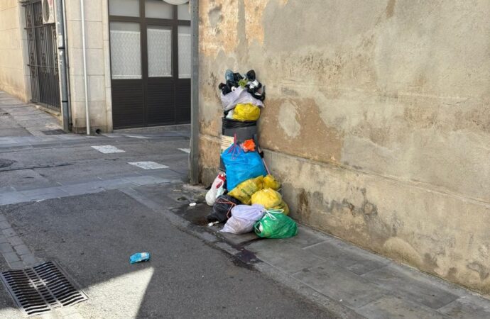 Un suspens a la neteja viària d’aquest estiu